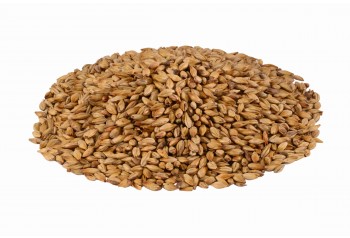 Malt Château Cara Ruby®