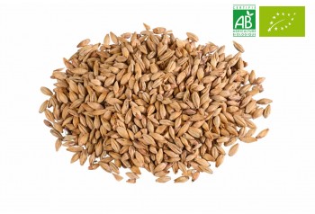 Malt CHÂTEAU BISCUIT®