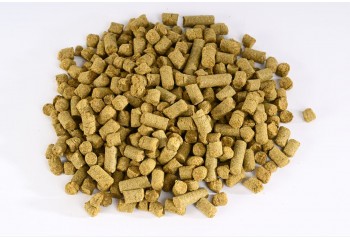 Houblon Styrian Golding en pellets 5 kg
