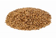 Malt Château Cara Ruby®