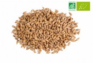 Malt CHÂTEAU BISCUIT®